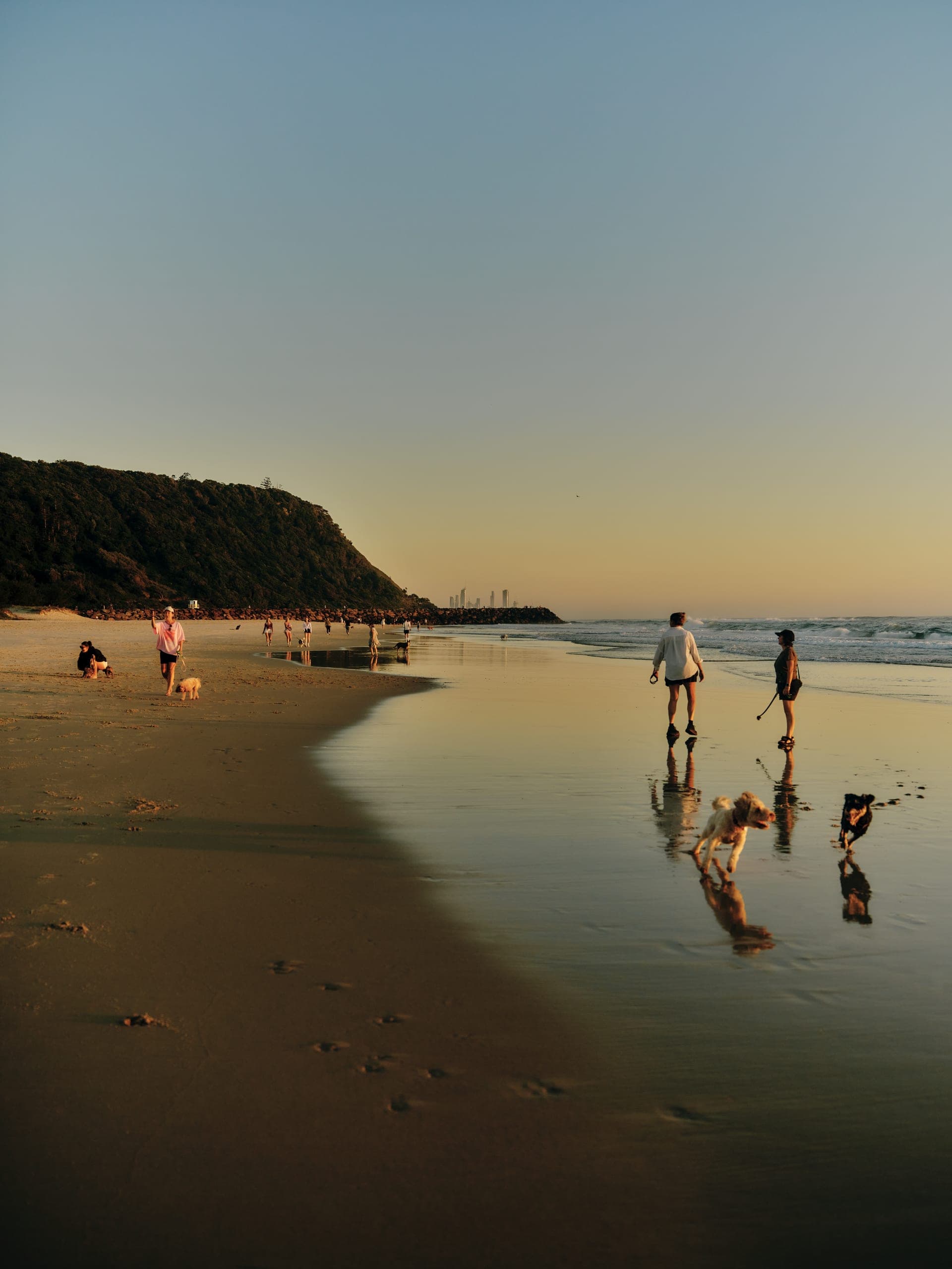 Sunset on Palm Beach, with locals walking dogs along the foreshore